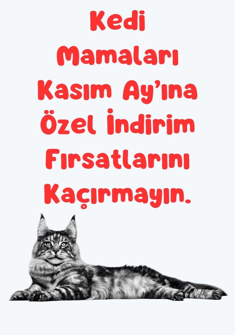 Kedi Maması