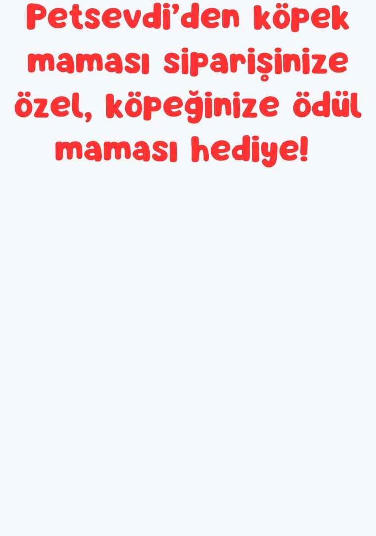 Köpek Maması