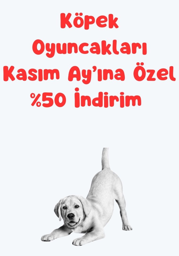 Köpek Oyuncağı